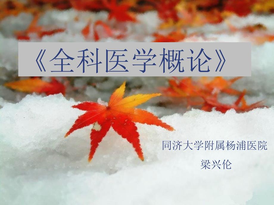 以预防为先导的健康照顾.ppt_第1页