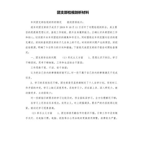 团支部检视剖析材料.docx