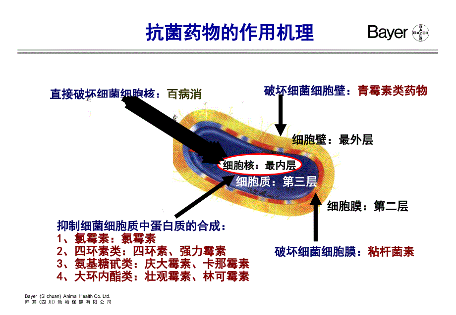 兽用抗生素合理运用.ppt_第3页