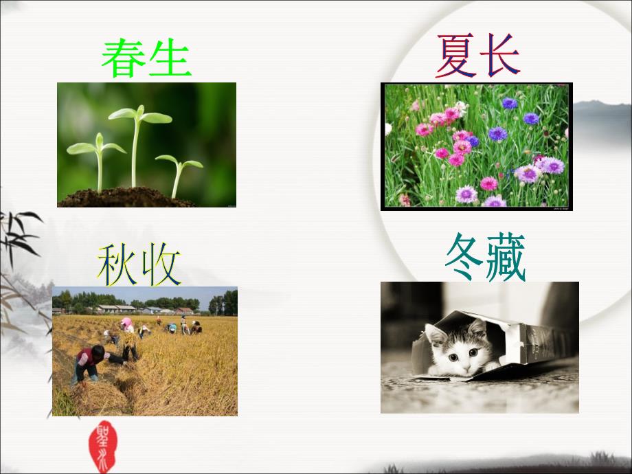 中医季养生.ppt_第3页