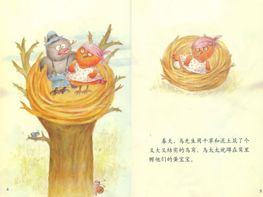 中班语言鸟窝里的树.ppt_第2页