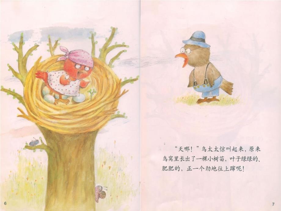 中班语言鸟窝里的树.ppt_第3页