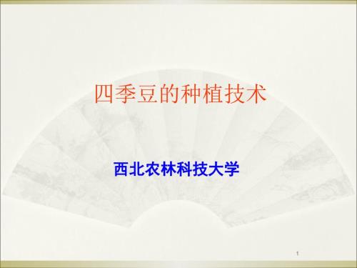四季豆的种植技术ppt课件.ppt