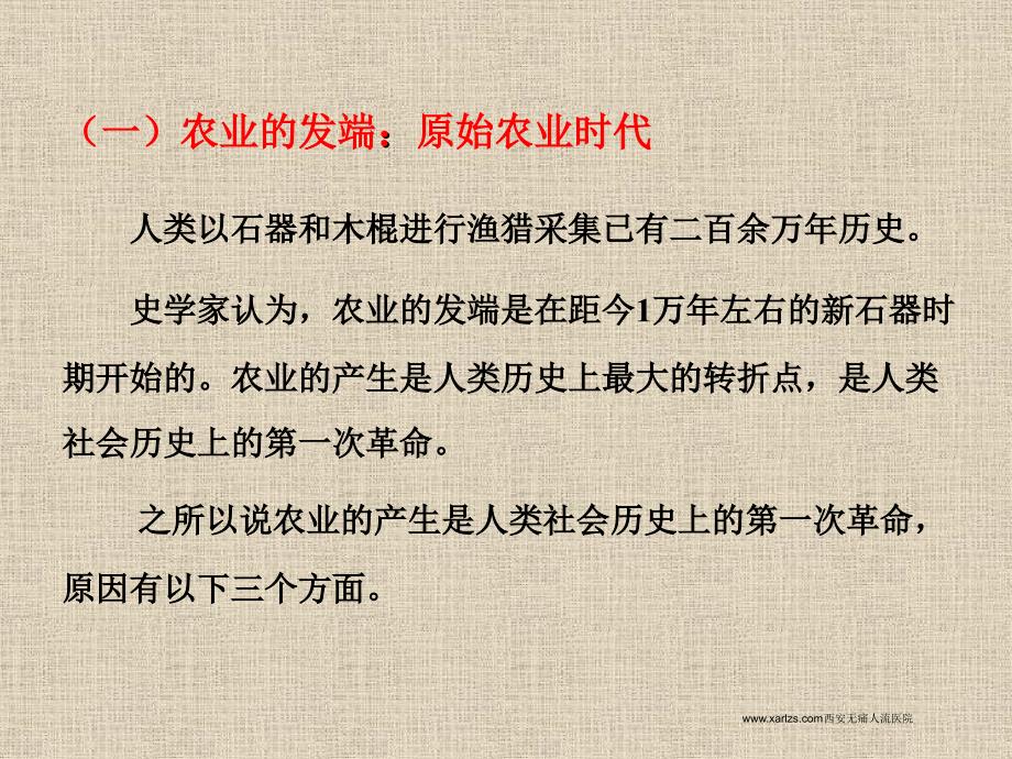 农业的发展历程PPT课件.ppt_第2页