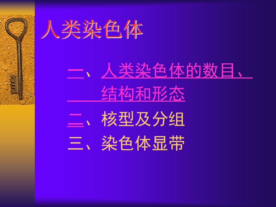 人类染色体及异常.ppt_第3页