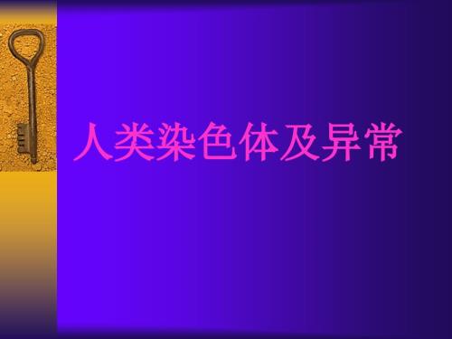 人类染色体及异常.ppt