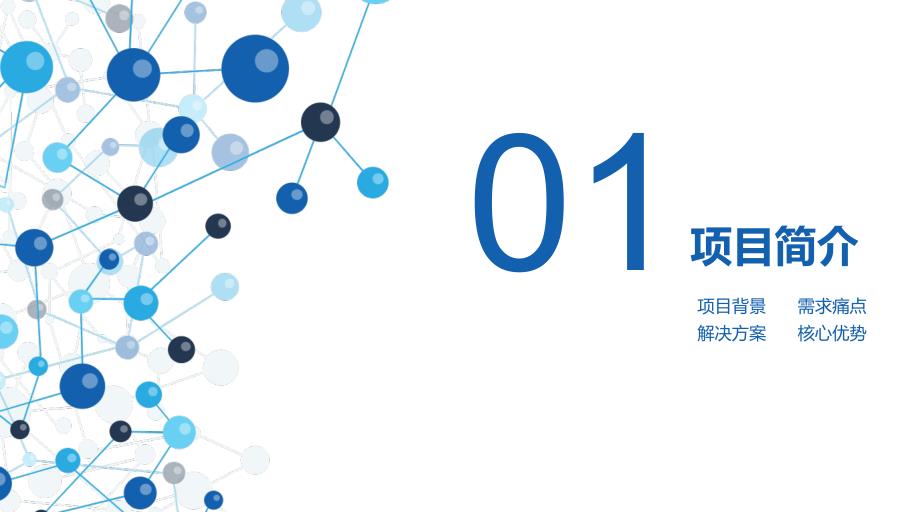 区块链开发项目商业计划书.ppt_第3页