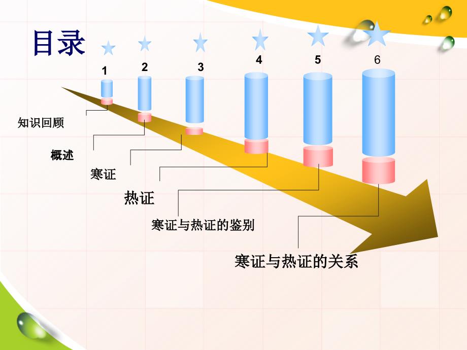 八纲辨证寒热.ppt_第2页