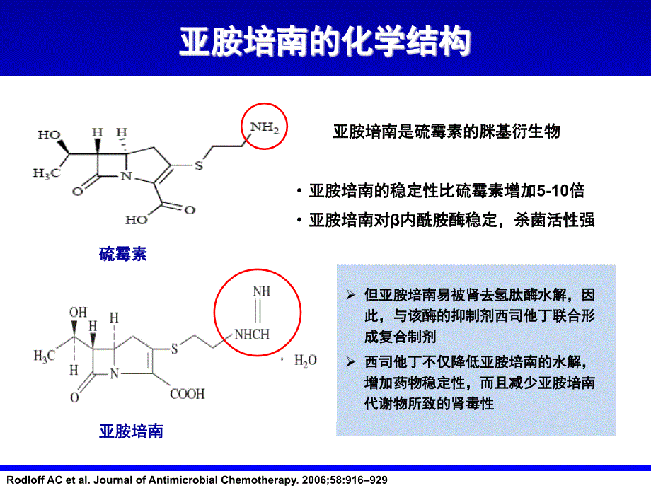 亚胺培南肾保护作用及中枢安全.ppt_第2页
