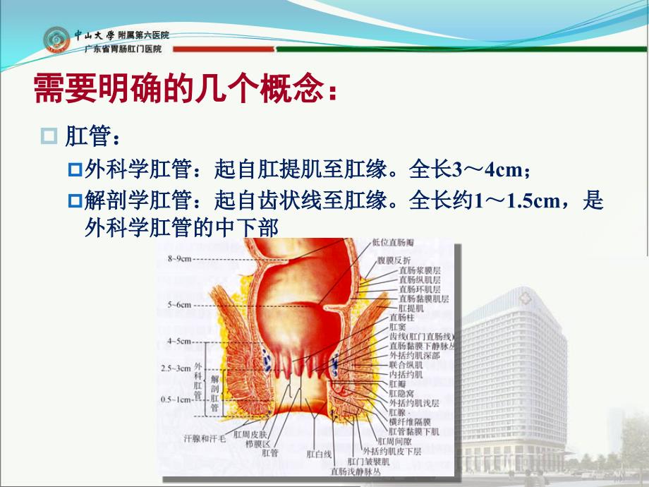 低位直肠癌术式选择及技巧.ppt_第3页