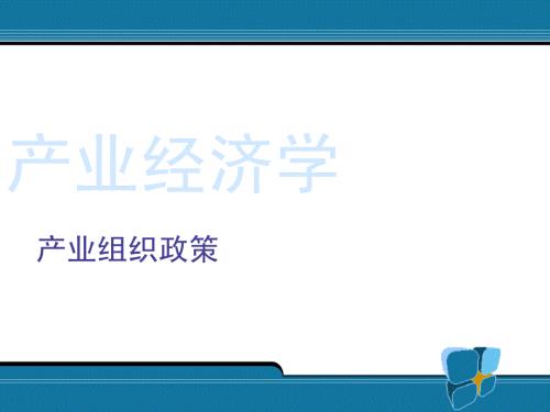 产业组织政策PPT课件.ppt