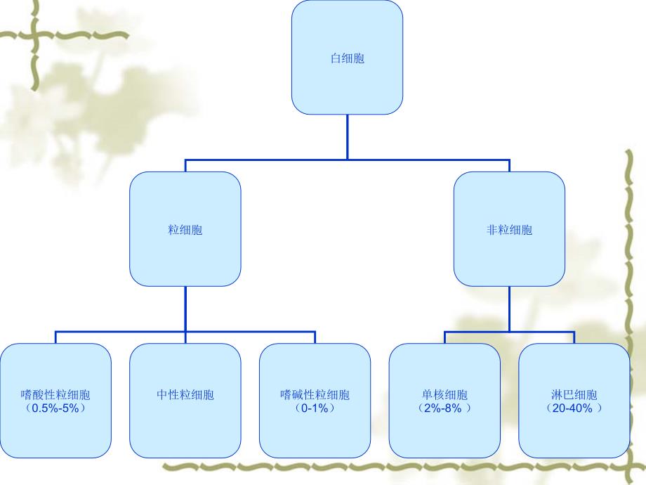 低白细胞病人的护理.ppt_第3页