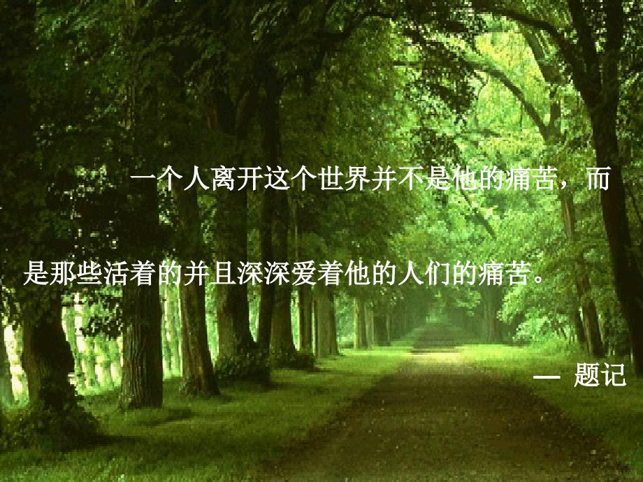 寿功理念篇课件PPT.ppt_第2页