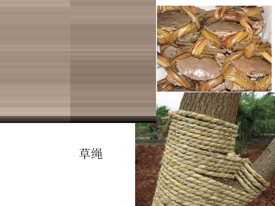 各种各样的绳子PPT课件.ppt_第3页