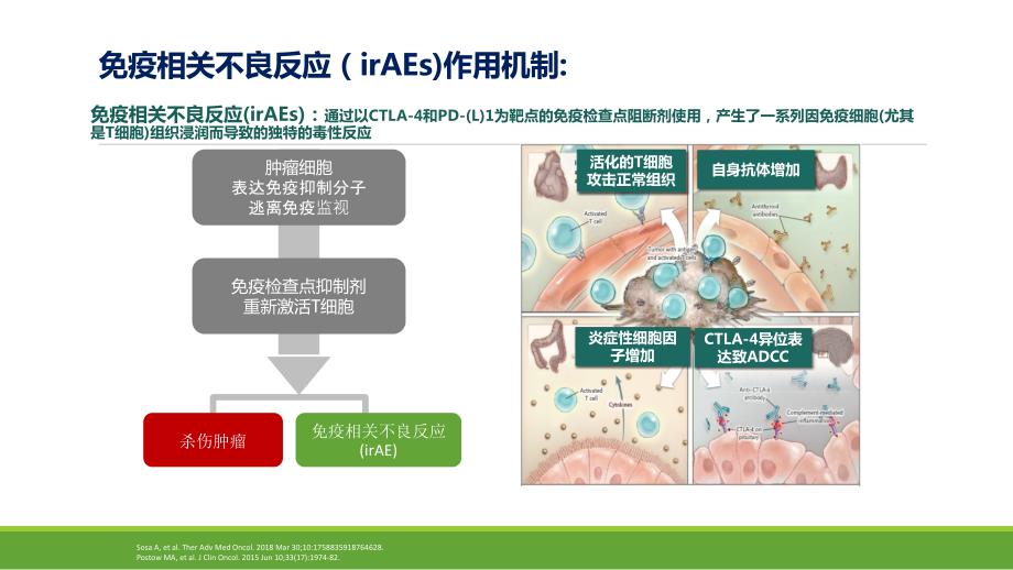 免疫治疗毒性管理1.ppt_第2页