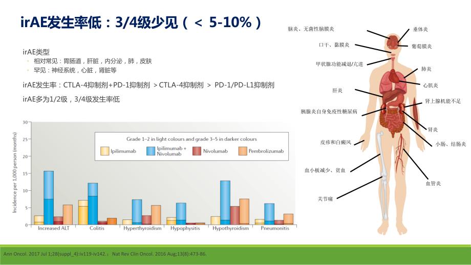 免疫治疗毒性管理1.ppt_第3页
