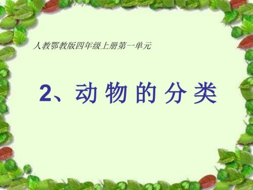 动物的分类课件ppt.ppt