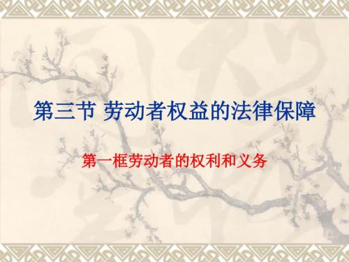 劳动者权益PPT课件.ppt