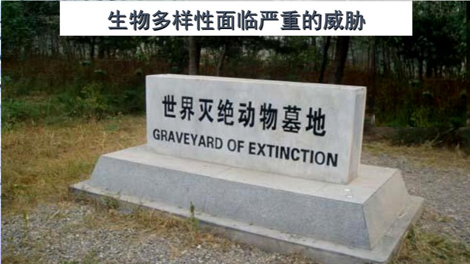 保护生物多样性PPT课件.pptx_第2页