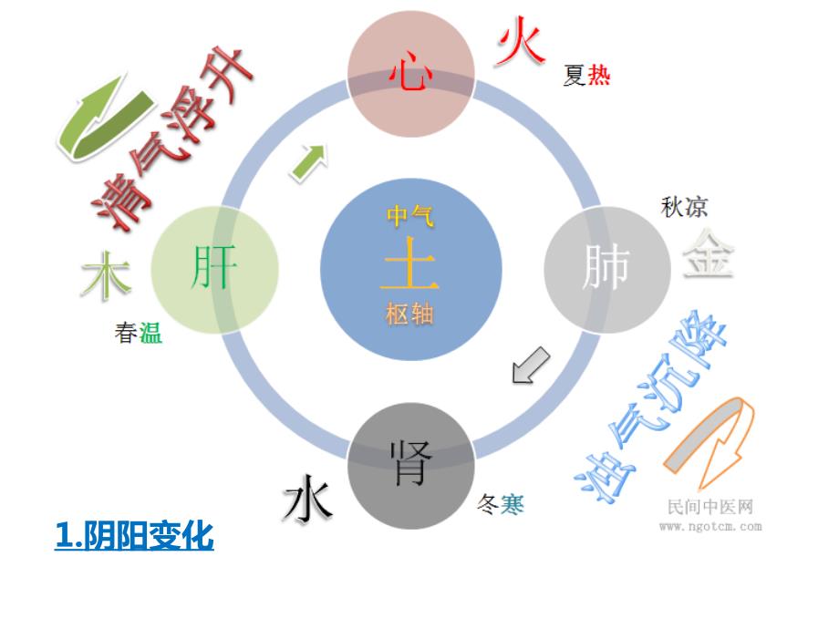 四圣心源天人解图解中医经典科.ppt_第2页