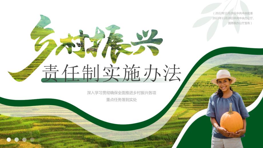 乡村振兴责任制实施办法.pptx_第1页