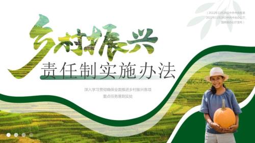 乡村振兴责任制实施办法.pptx
