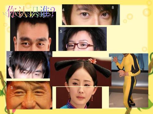人物外貌描写作文指导公开课课件.ppt