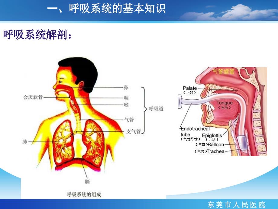 儿科呼吸机的应用及护理.ppt_第3页