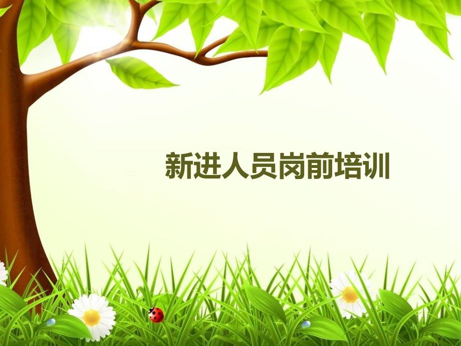 医院新进人员岗前培训PPT课件.ppt_第1页