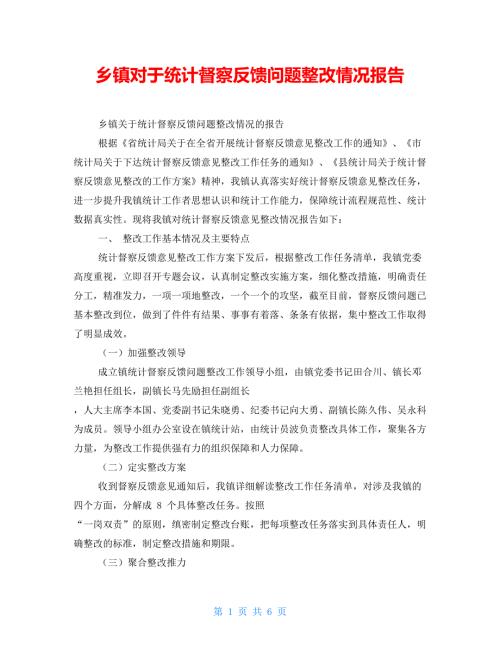 乡镇对于统计督察反馈问题整改情况报告.doc