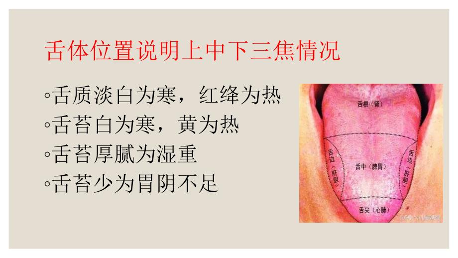 小儿舌诊课件.pptx_第3页