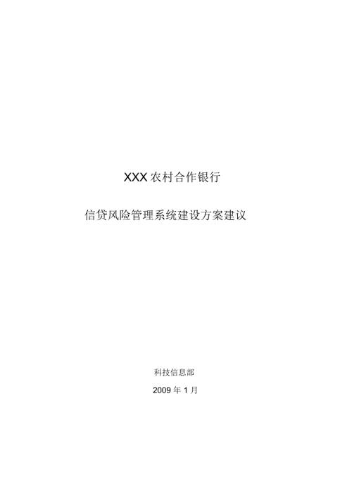 信贷风险管理系统建设方案建议DOC.docx