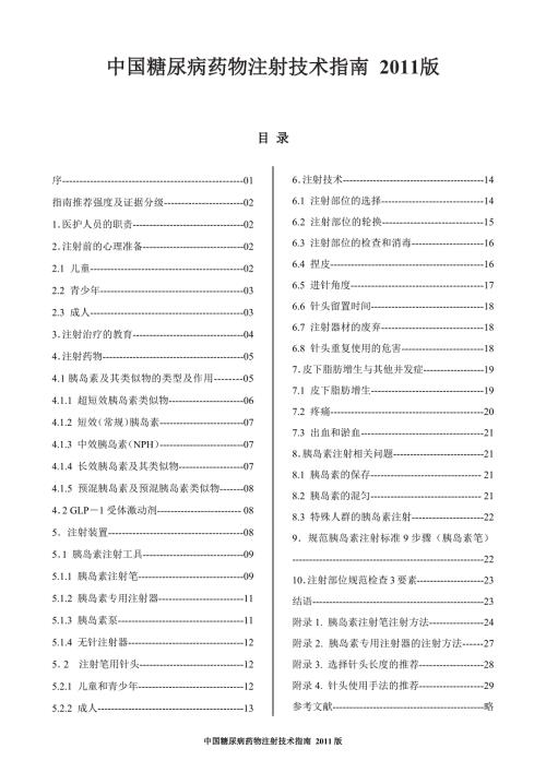 中国糖尿病药物注射技术指南.docx