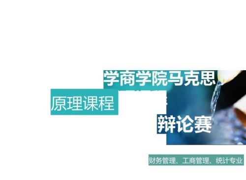 史上最完美辩论赛ppt含最全计时器.doc
