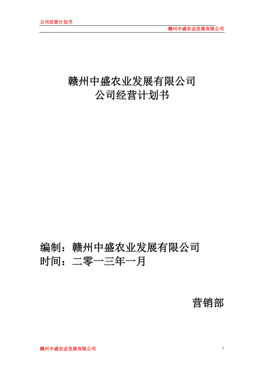 公司运营计划书模板企业运行计划最新.doc_第1页