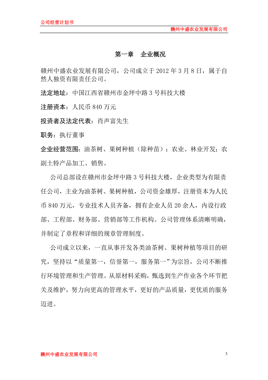 公司运营计划书模板企业运行计划最新.doc_第3页