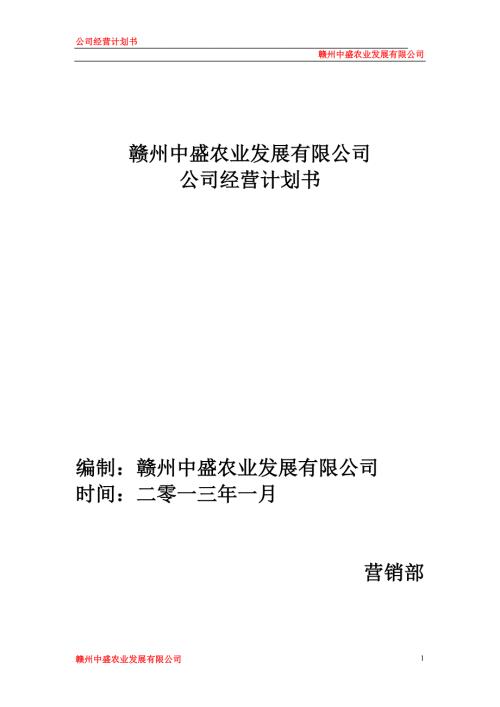 公司运营计划书模板企业运行计划最新.doc