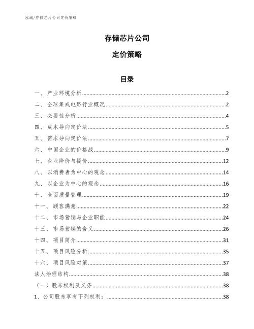 存储芯片公司定价策略范文.docx