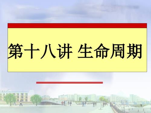 产品生命周期PPT课件.ppt