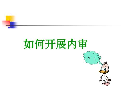 如何开展内审.ppt