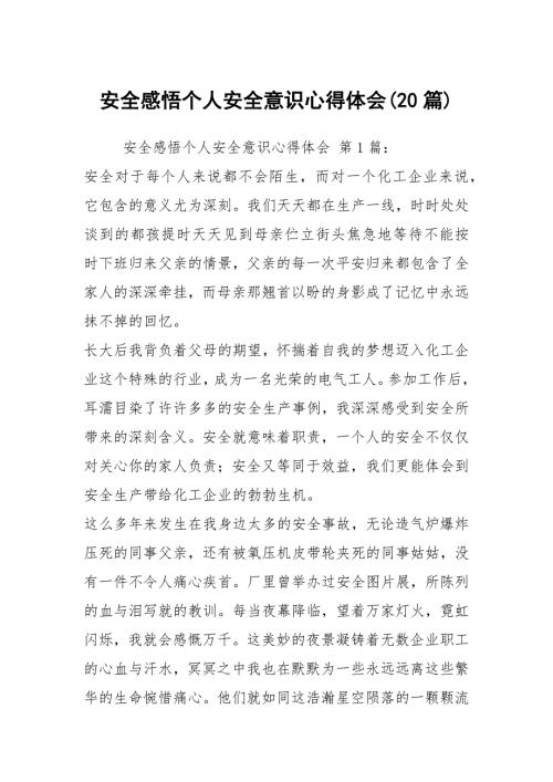 安全感悟个人安全意识心得体会20篇.docx
