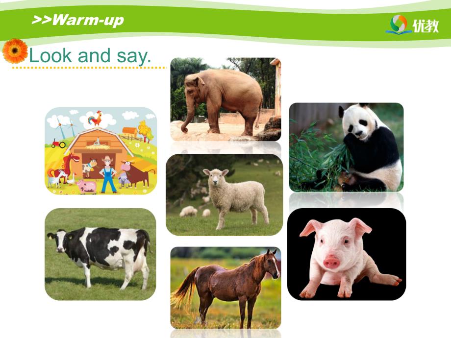 人教版新起点英语五上Unit3AnimalsLesson2课件.ppt_第3页