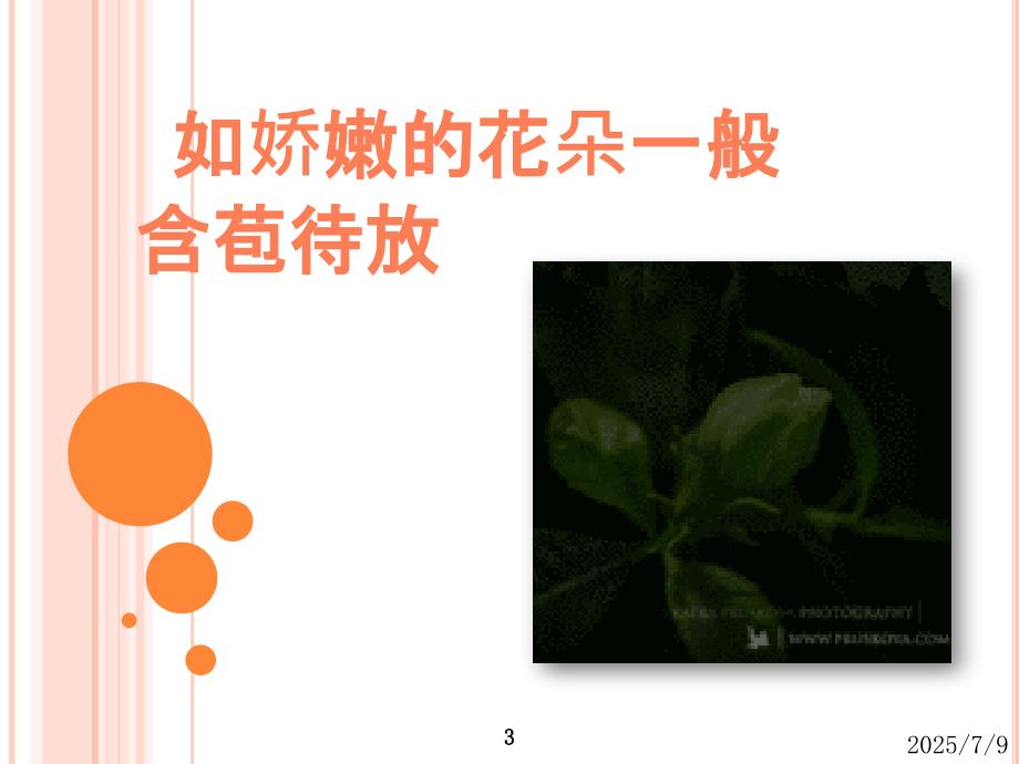 大头娃娃与劣质奶粉事件分析课件.pptx_第3页