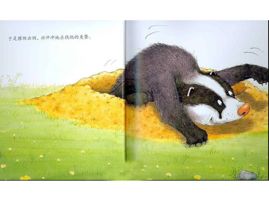 儿童绘本獾的美餐ppt课件.ppt_第3页