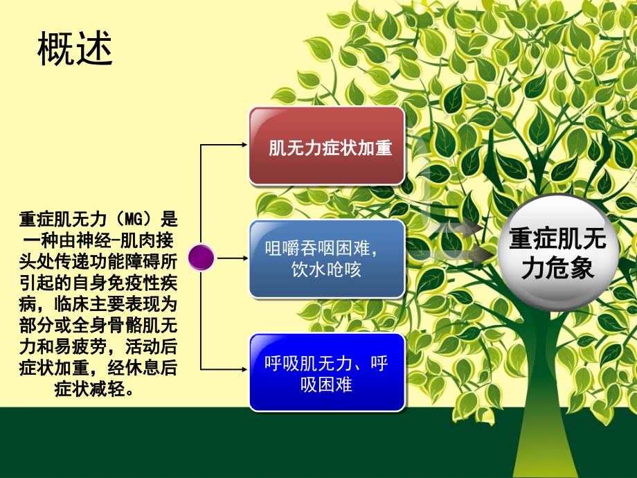 个案护理汇报范例.ppt_第3页