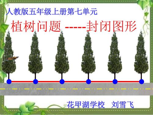 人教版五年级上册第七单元植树问题只栽一端.ppt