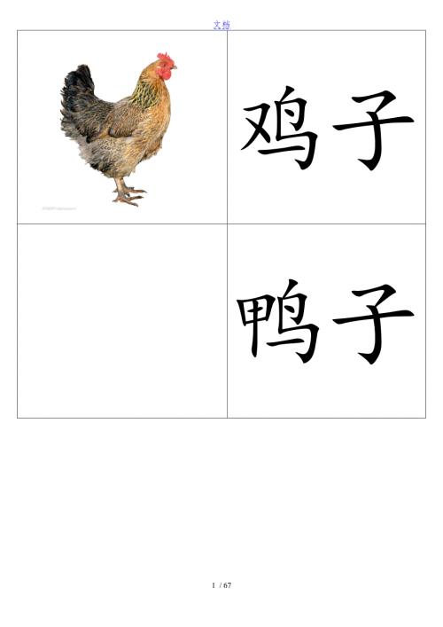 动物卡片幼儿识图.doc