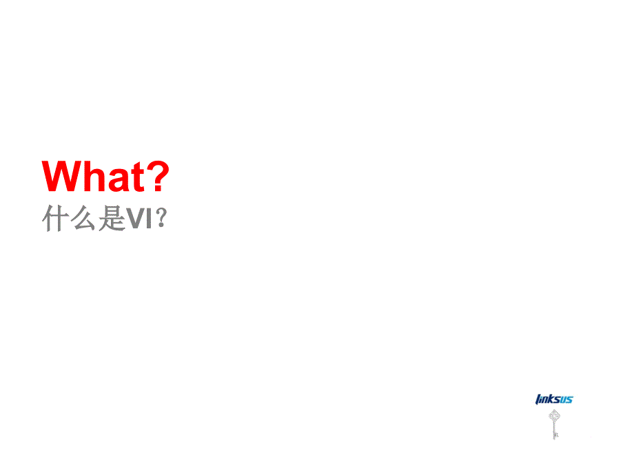 关于VI系统的培训资料.ppt_第3页