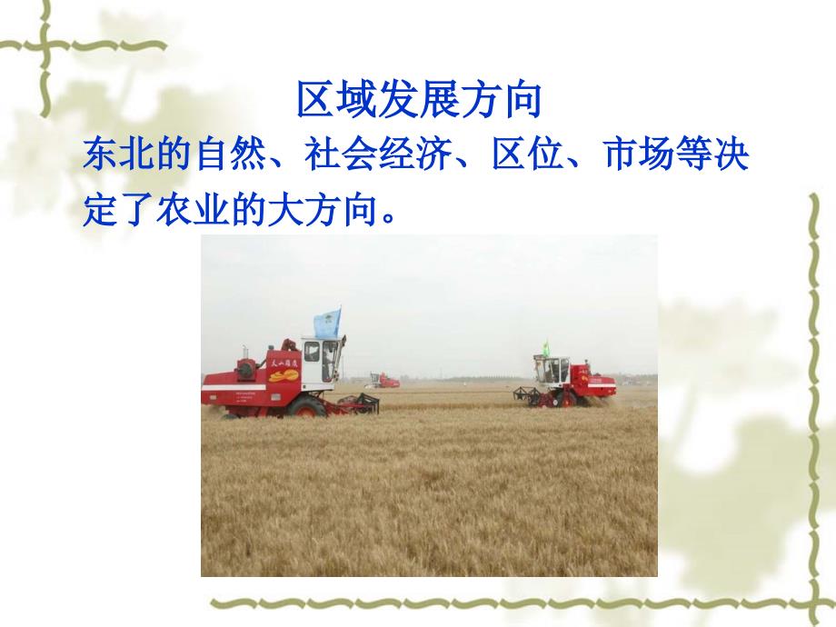 区域农业发展以我国东北地区为例课件.ppt_第2页