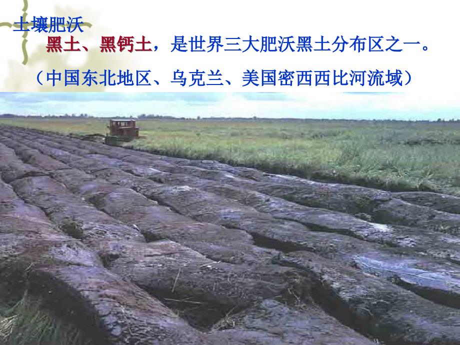 区域农业发展以我国东北地区为例课件.ppt_第3页